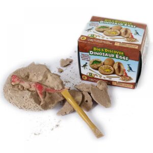 Dig and Discover Dinosaur Egg