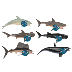 Sea Life Animals
