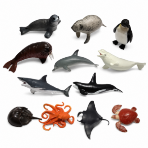 Sea World Animals