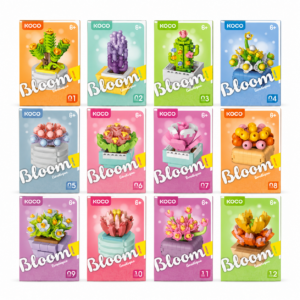 Koco Bloom Boutique Potted Succulent Plants Assorted