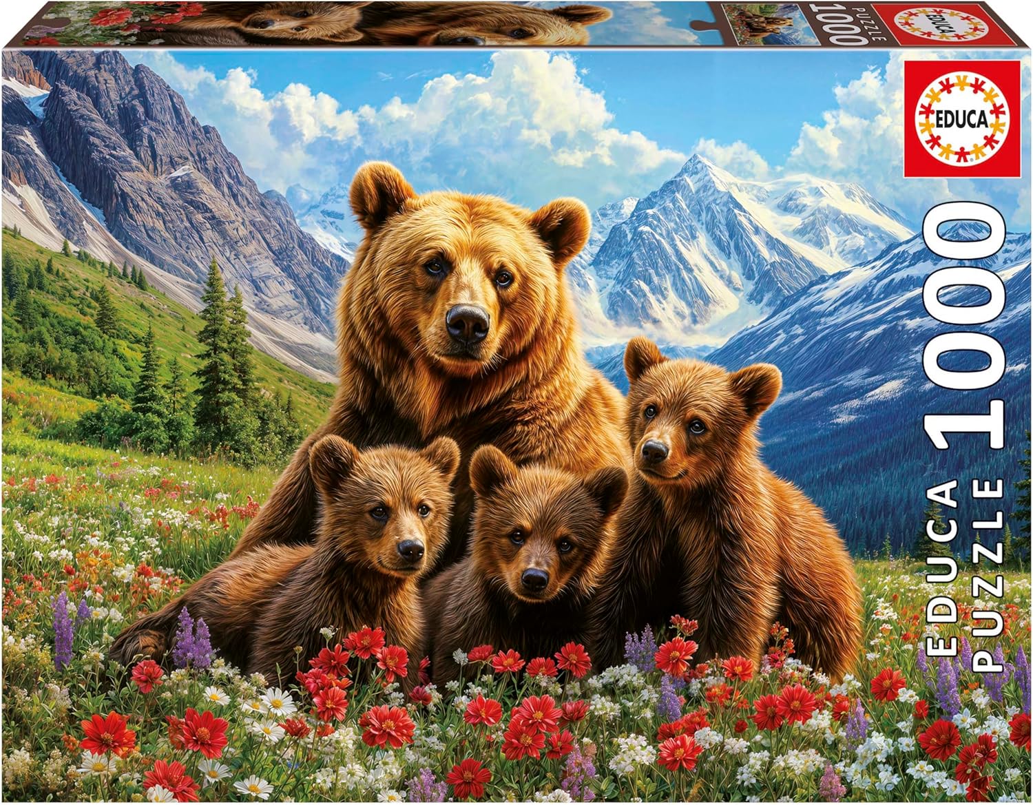 Edu Grizzly Bears in Canada 1000pc