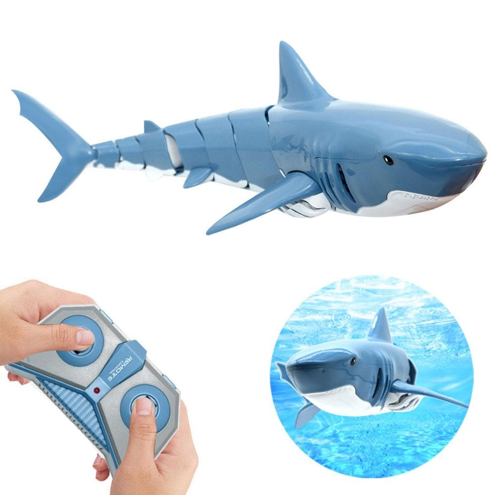 RC Shark - Image 2