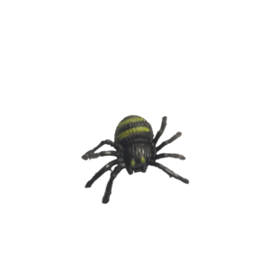 Plastic Spider Small